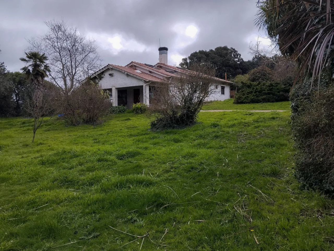 Casa del campo rodeada de vegetación